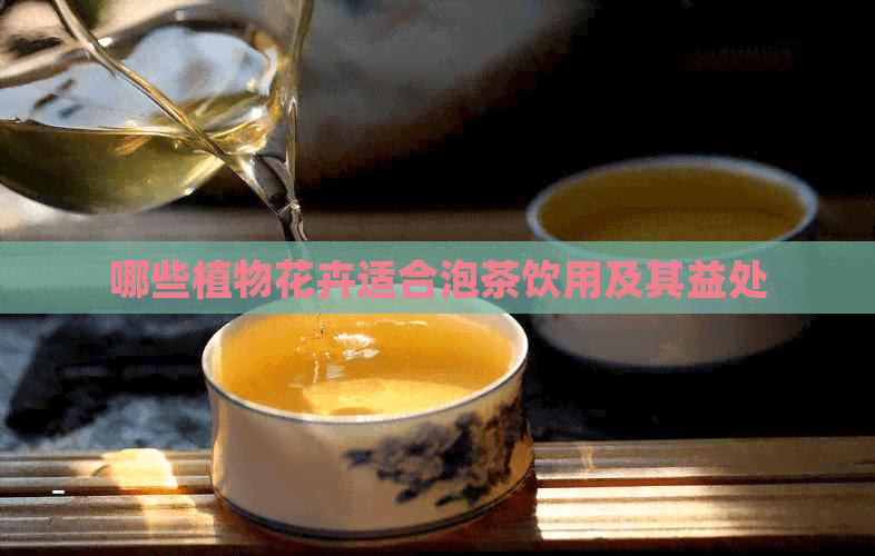 哪些植物花卉适合泡茶饮用及其益处