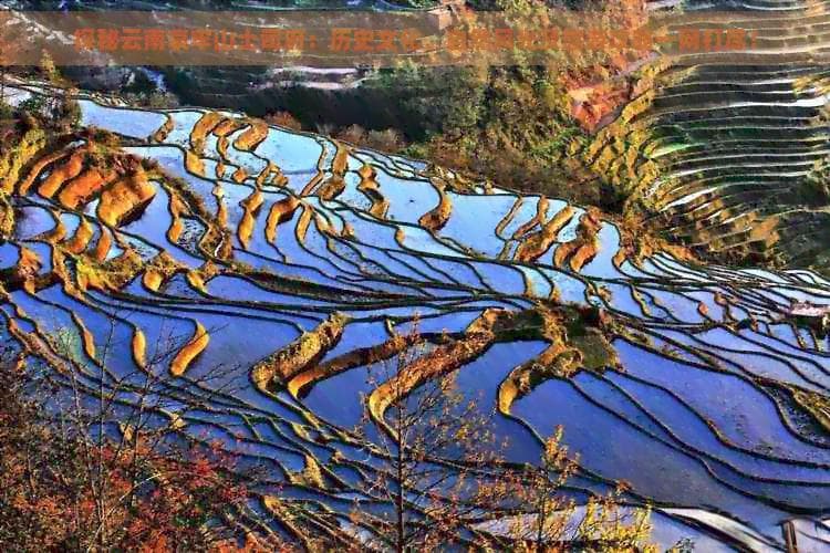 探秘云南哀牢山土司府：历史文化、自然风光及旅游攻略一网打尽！