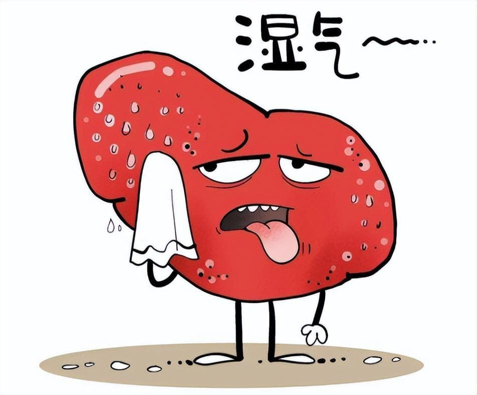 肠胃炎症状、幽门螺旋杆菌与胃病饮食禁忌，全面解析与科学指导