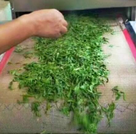 准确温控，锁住茶香——探索光波茶叶杀青机在提升茶叶品质中的优势