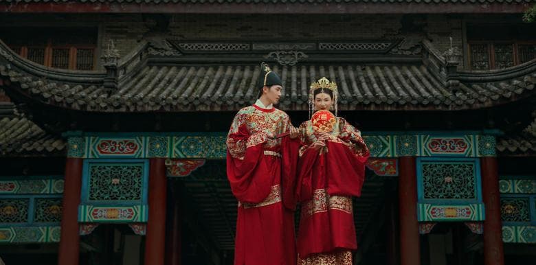 狗与鼠的婚姻：传统相克中的现代解读