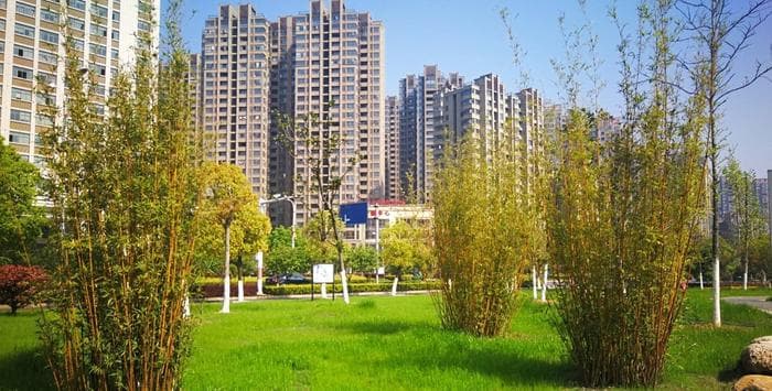 江西省吉安市：人文古迹与自然美景交相辉映