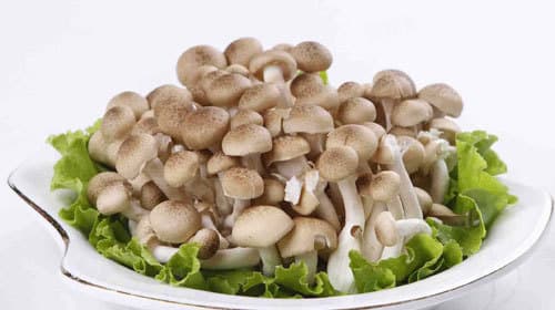 尿酸高可以吃菇类食物吗