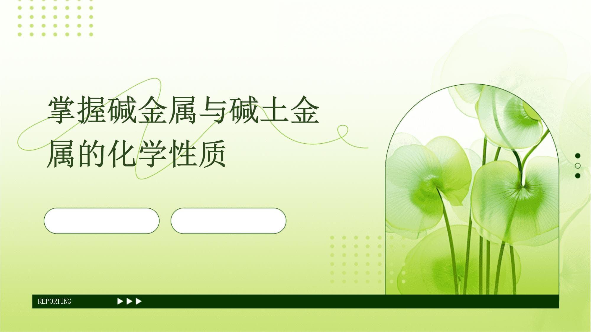掌握碱金属与碱土金属的化学性质