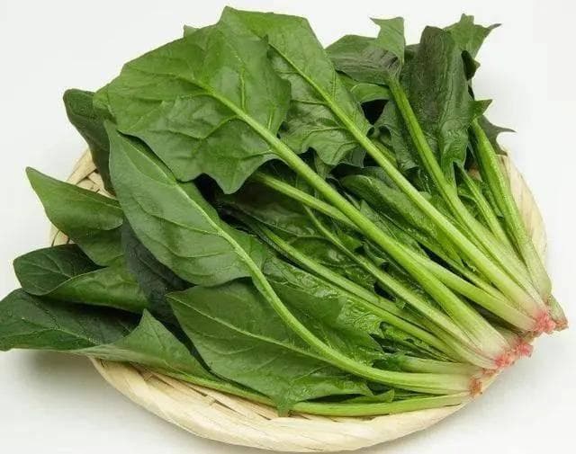 菠菜可以生吃吗？揭秘菠菜的正确打开方式！
