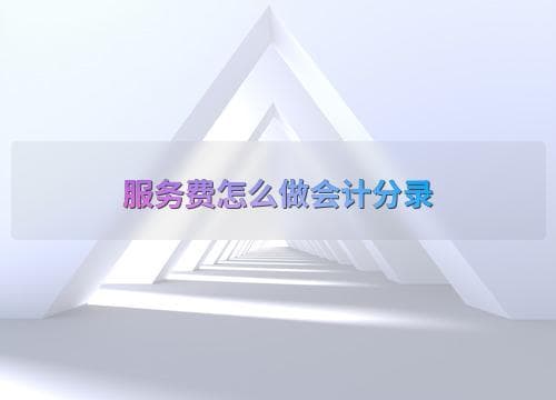 服务费怎么做会计分录