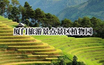 厦门植物园：在花海中漫步，感受自然之美