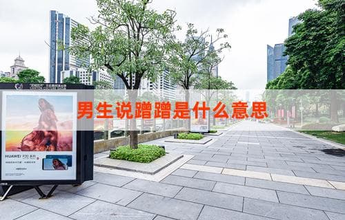 男生说“蹭蹭”是什么意思？解析网络流行词汇背后的含义