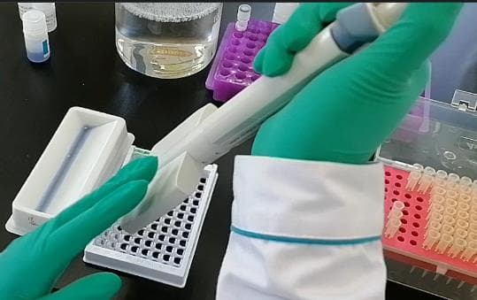 酶联免疫吸附测定（ELISA）实验操作重点之一加样解读