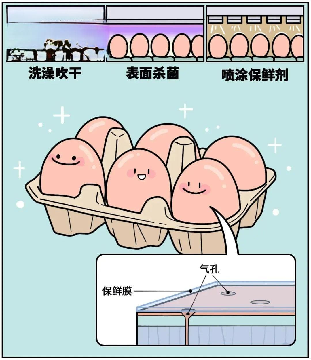 “可生食鸡蛋”，真的能放心生吃吗？