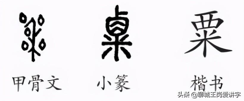 粟和栗的区别：“粟”和“栗”各指什么？五谷，南北说法各不相同