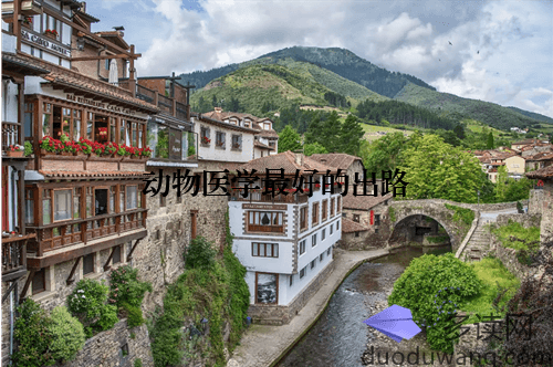 动物医学最好的出路：科学与人文的结合