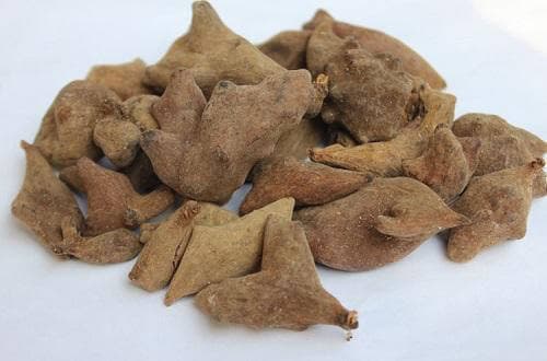 具有酸味的中药及其作用