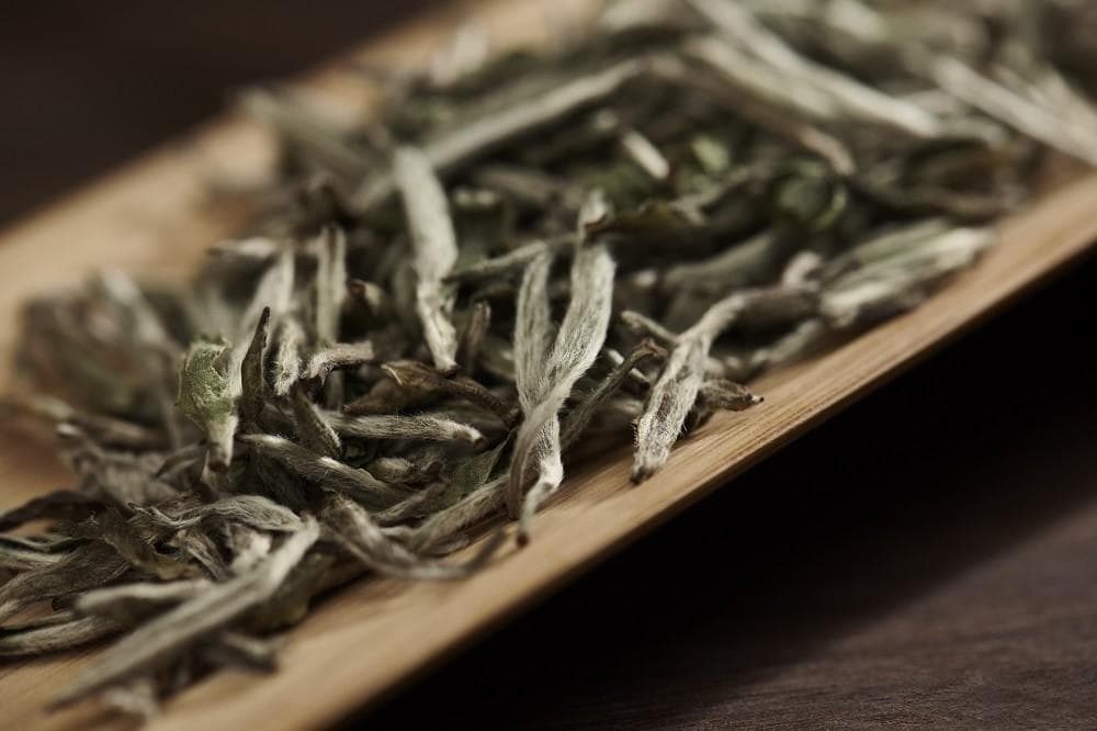 白大师老白茶怎么泡才好喝，福鼎老白茶有几种喝法，老白茶冲泡指南