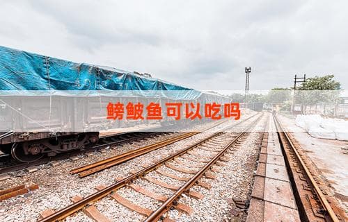 鳑鲏鱼可以吃吗？关于鳑鲏鱼的食用价值探讨