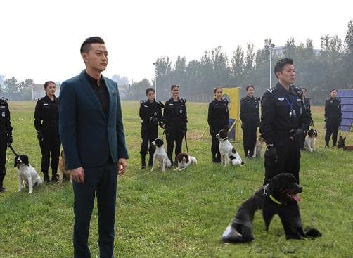 警花与警犬大结局剧情揭秘：第二季即将热血来袭