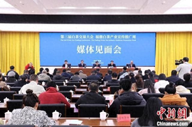 “中国白茶之乡”福建福鼎白茶产业蓬勃发展