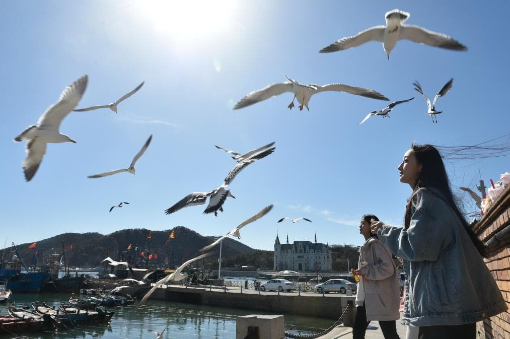 中国城市"花式"抱团组合提升文旅吸引力