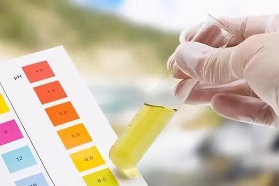 为什么老人说吃碱性蔬菜水果好？到底哪些是碱性食物，详细告诉你