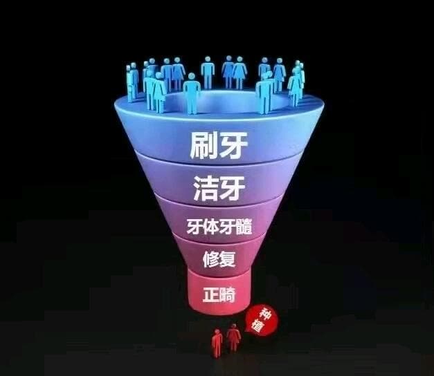 科普牙齿结构