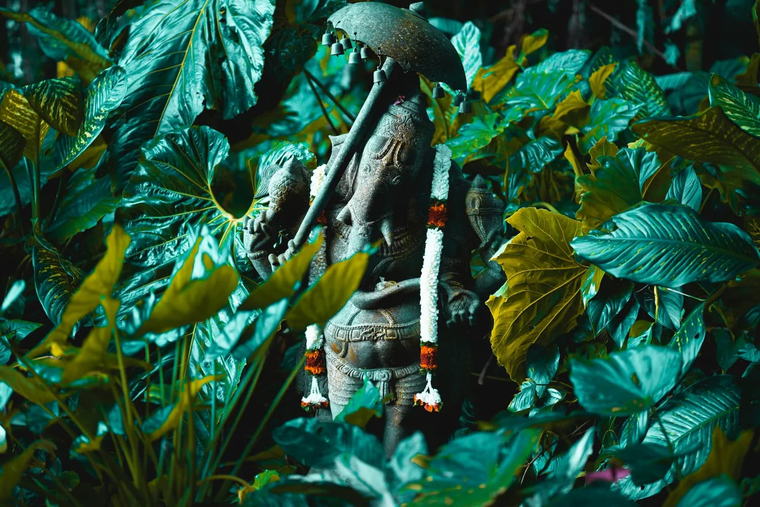 神农尝百草，你敢挑战吗？