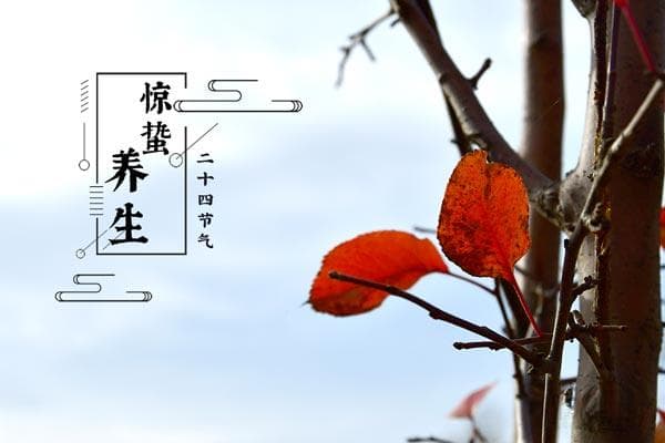 春分节气的养生之道，春分节气的养生攻略