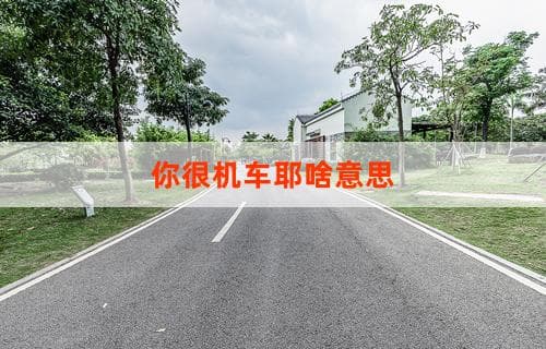 你很机车耶啥意思 探究网络流行语的深层含义