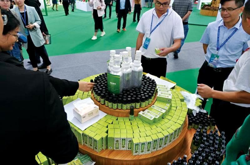 玉林双璧：龙潭工业崛起与香料文化传承