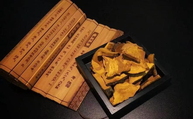 桑黄抗肿瘤的多维战场：从细胞周期到免疫调节