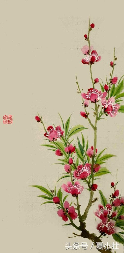 桃花梦境寓意着美好与希望。