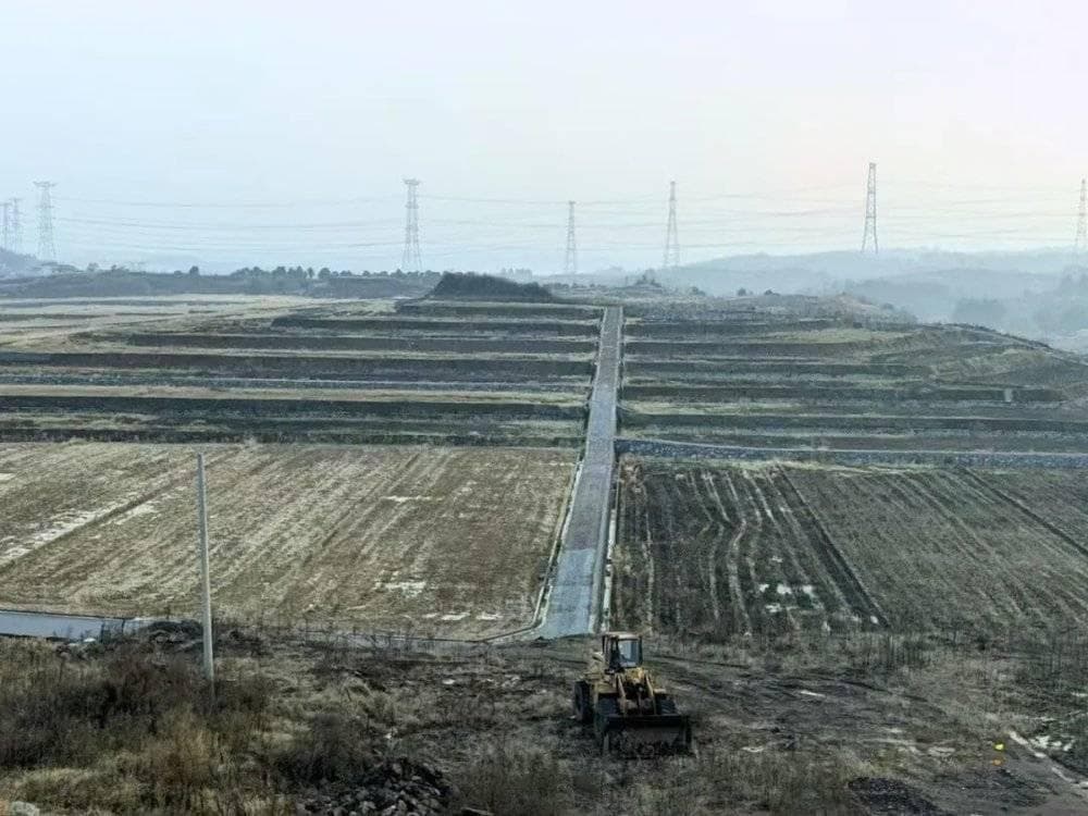 小田并大田，昆虫怎么办？