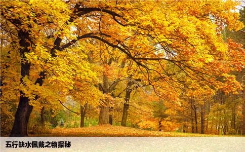 五行缺水佩戴什么好