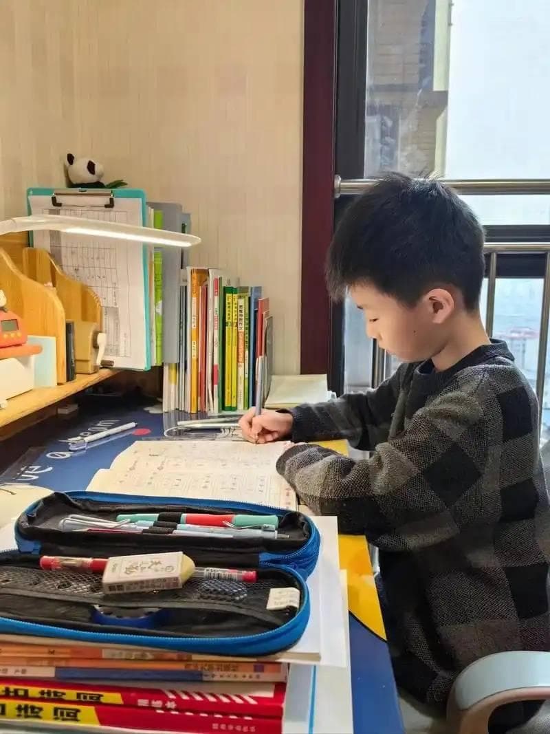 为孩子安排有效的学习提升计划，细致又需耐心！