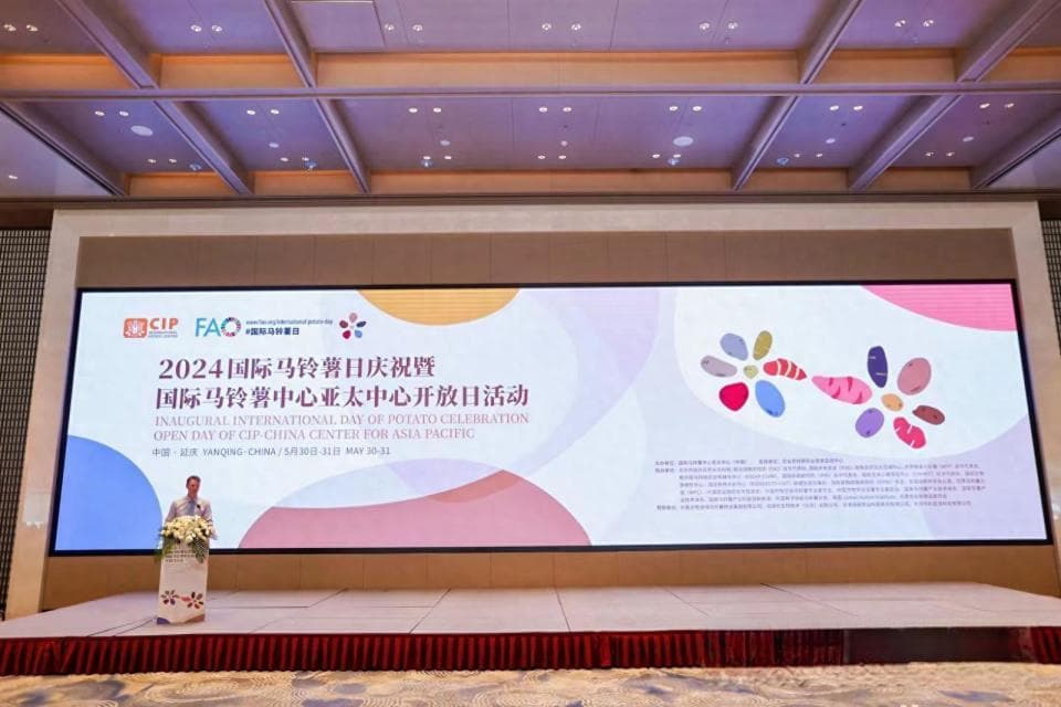世界第三大主食 马铃薯度过首个全球“生日”