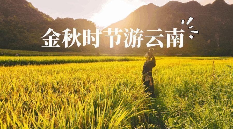 秋游云南 | 新平哀牢山景区，你知道怎么玩吗？看这篇就够了！