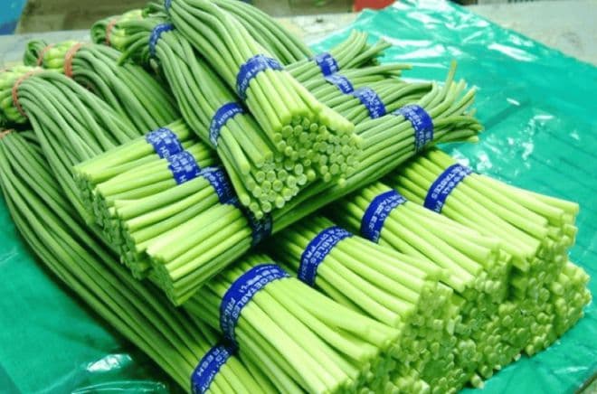 绵竹蒜薹：翠绿中的美味与健康