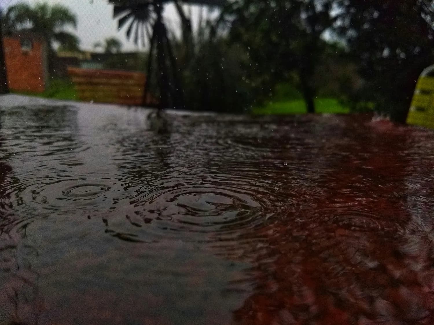深圳下周暴雨来袭！这份防范手册请收好