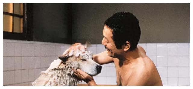 这部日版《忠犬八公》电影，更接近真实凄凉人性，更值得一看