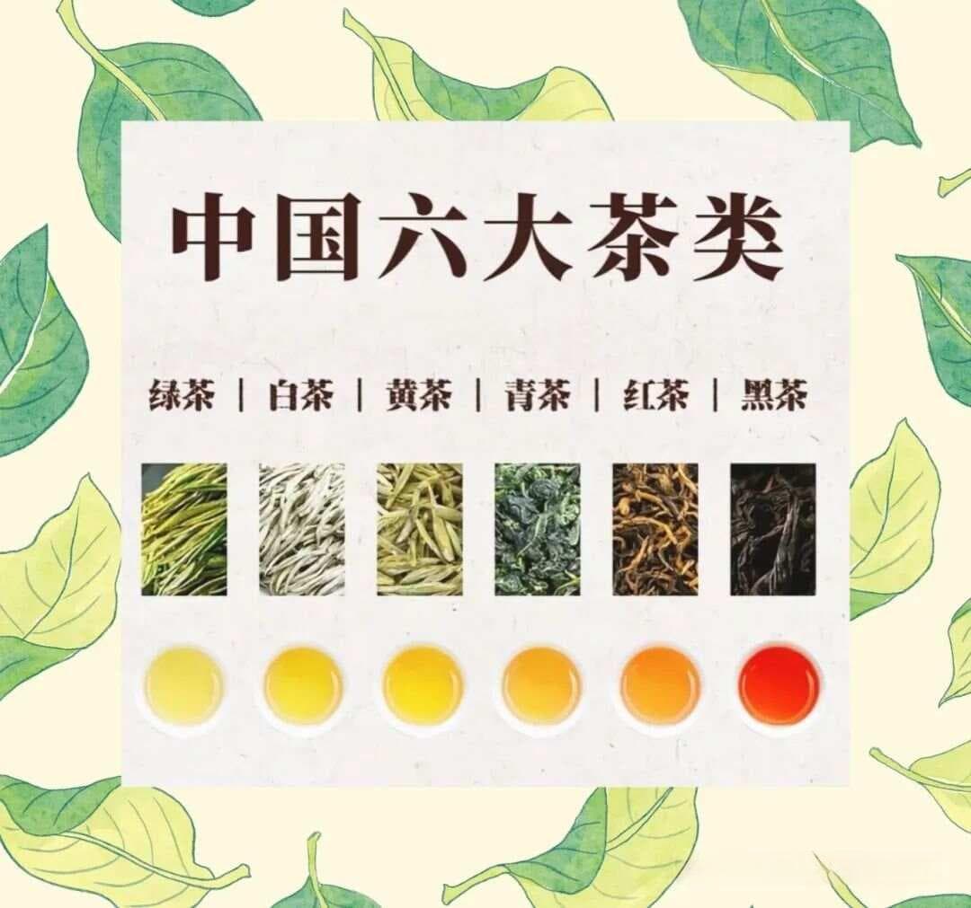 从绿茶到红茶：中国六大茶类的起源与工艺演变