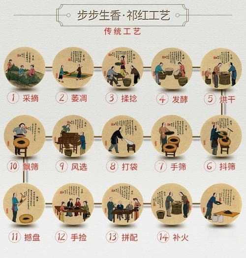 红茶加工工艺大揭秘：从采摘到发酵全过程详解