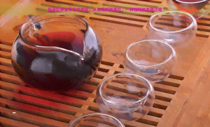 探寻红茶金黄色的成因：从普洱茶到滇红，一种独特的发酵过程