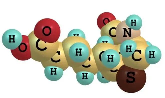 吸电子基和推电子基：分类、排序及对有机化合物性质的影响