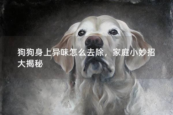 狗狗身上异味怎么去除，家庭小妙招大揭秘