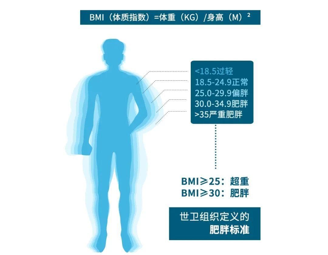 哪种体型的人更长寿？研究发现：这个部位“细”点好！