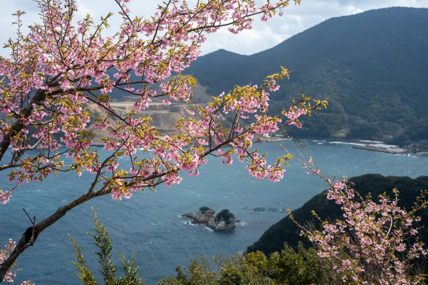 桃花岛生态保护，你我共行动