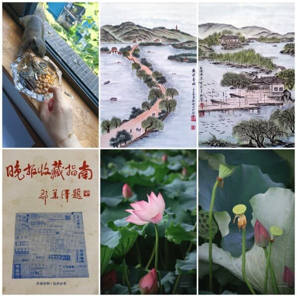 橙友中藏着一位大师傅，中国钢笔山水画第一人，他画的西湖美景太漂亮了！