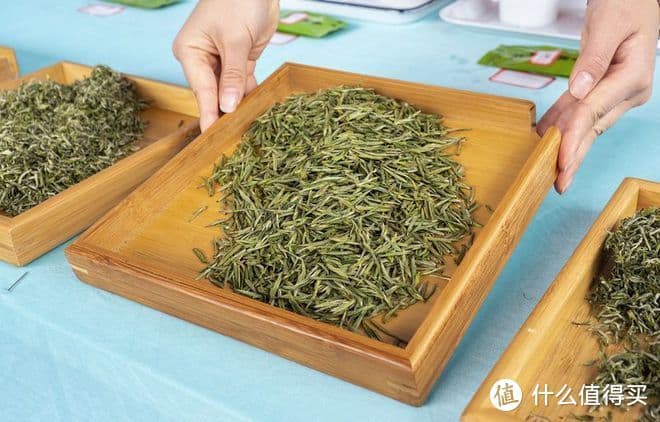 安吉白茶与黄金芽的区别？