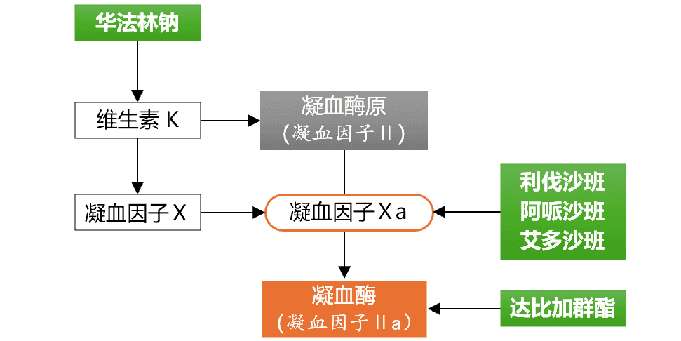 关于利伐沙班，你至少应知道这六点！