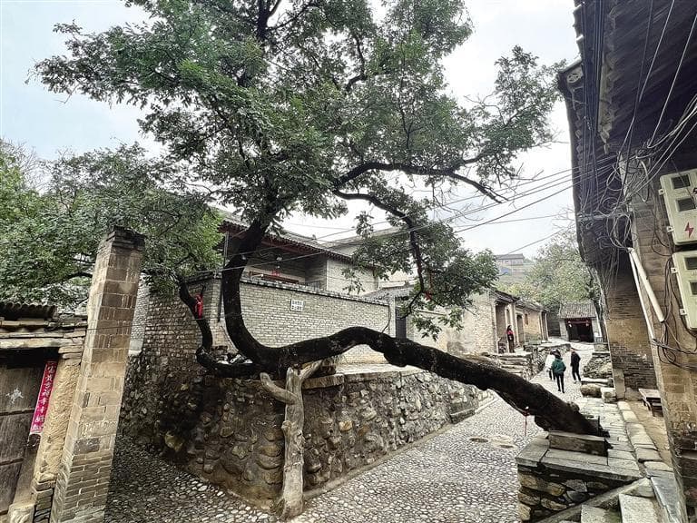 文化中国行·地名里的陕西故事丨潼关水坡巷：述说“老潼关”的乡愁