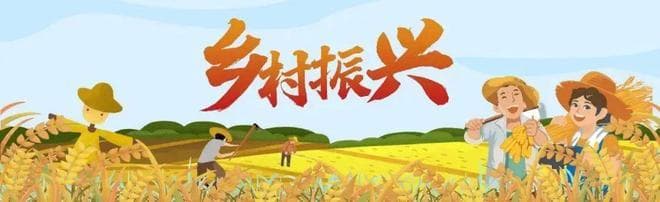 又美又香又好玩！福州这处网红地，好多人爱来！